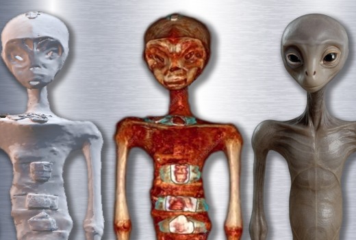 The Tridactyl Enigma: From Debunked Hoax to Anatomical Mystery The Tridactyl Enigma: From Debunked Hoax to Anatomical Mystery