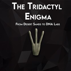 The Tridactyl Enigma The Tridactyl Enigma